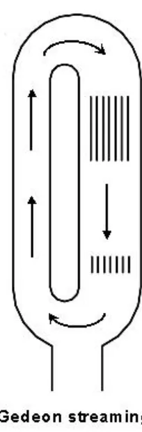 Figure 1.2: An example of Gedeon