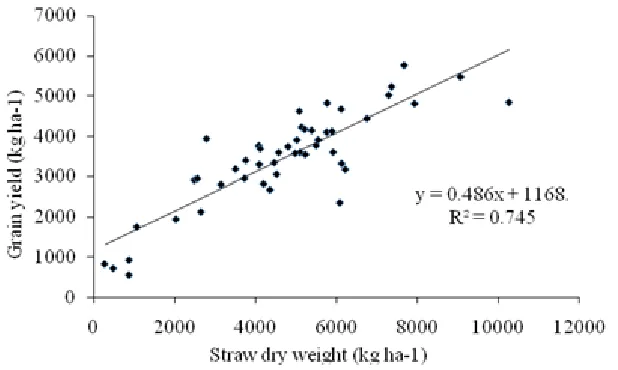 Figure 1. Relationship between grain yield and number of grains per panicle of DDSR at AFU, Rampur, 