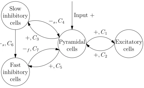 Figure 3.1: Schematic overview of Wendling’s model for a cortical column.