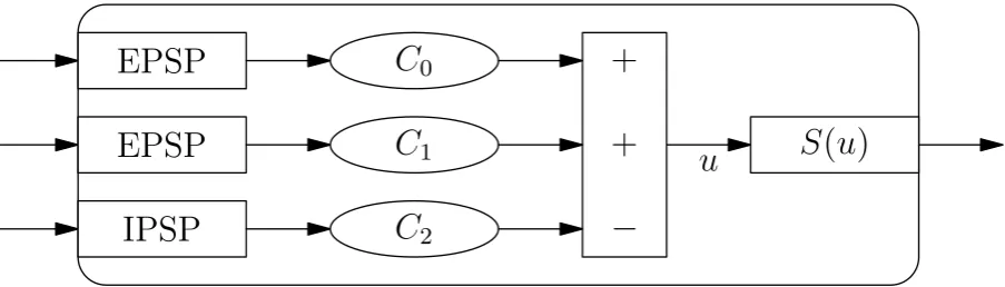 Figure 2.1: A schematic overview of a neural mass. Diﬀerent inputs are converted to potentialsusing PSP transforms.These potentials are multiplied by a constant modeling the averagenumber of synapses from this input to the population