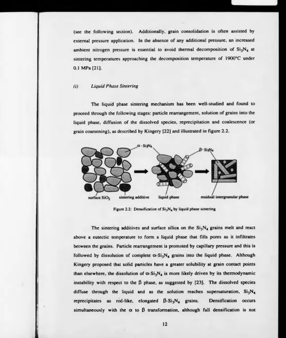 Figure 2.2: Densification of Si3N4 by liquid phase sintering