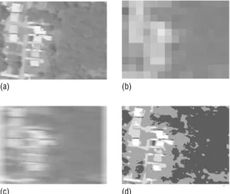 Fig 4.  (a) A portion of a video image (Akron, Ohio) with spatial resolution of 1 metre, temporal resolution of 1/30 of a second, and thematic resolution of 8 bits (255 unique values); (b) the same image as in (a) but with spatial resolution degraded to 10
