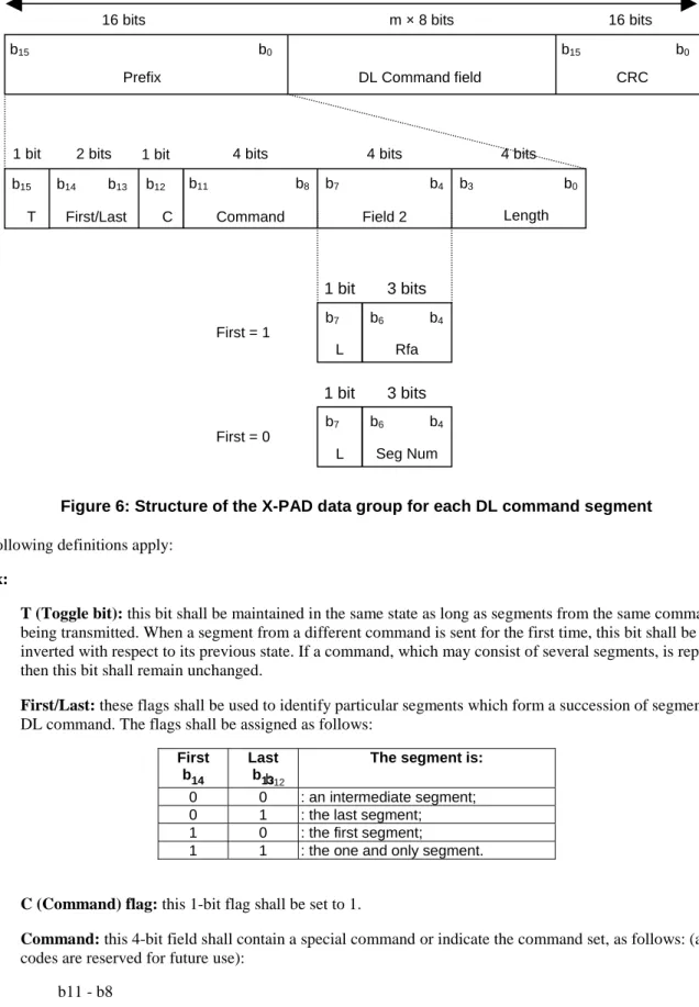 Figure 6: Structure of the X-PAD data group for each DL command segment  The following definitions apply: 