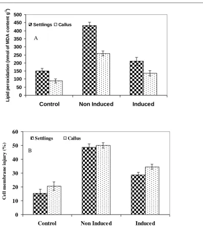 Fig. 3. Effect of heat acclimation on lipid peroxidation (A) and cell membrane leakage (B) of sugarcane settlings and calli upon heat stress