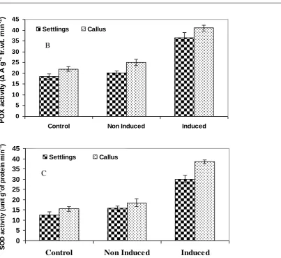 Fig. 4.  Effect of heat acclimation on APX activity (A), POX activity (B) and SOD activity (C) of sugarcane settlings and calli upon heat stress