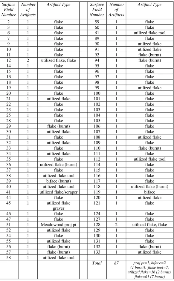 Table 4.  Scott 1 site (NYSM 11338, UB 3640) Phase 2 Surface Inspection Artifact Summary