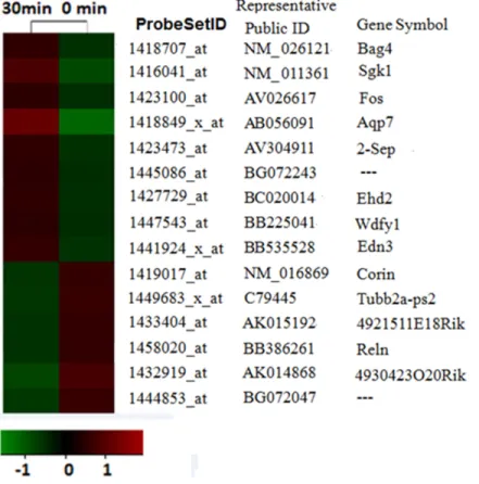 Figure  2:  mRNA  profiling  analysis  reveals  itch-related  altered  genes.  The probe sets whose expressions were altered in  compound 48/80 evoked-acute itching were identified by microarray analysis
