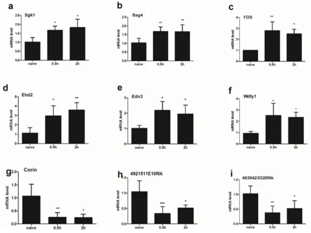 Figure 5: The expression of 9 mRNA were analyzed in the spinal cord (C5-C8) at different time points (0.5h/2h) after  compound 48/80 injection