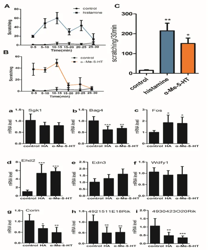 Figure  6:  (upper)  Pruritogen-evoked  scratching  behavior  in  histamine-treated  (800μg/50μl),  α-Me-5-HT-treated  (35μg/50  μl)  and  saline-treated  (control)  mice  (n  =  6/group)