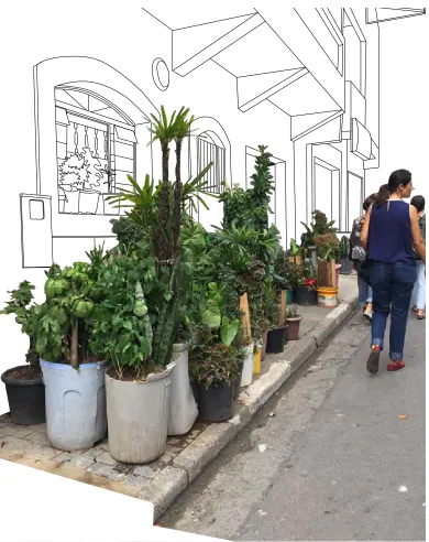 Figure 4: —ENDURING CONFLICTS— A large collection of potted plants claims the sidewalk in front of a home