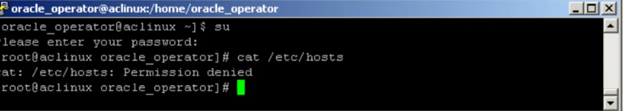 Figure 5.2: Screenshot of PuTTY Demonstrating Fine-Grained Access Control in CA ControlMinder