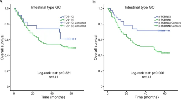 Table 3: Multivariate analysis of the correlation between clinicopathological characteristics and survival time of  intestinal type GC patients