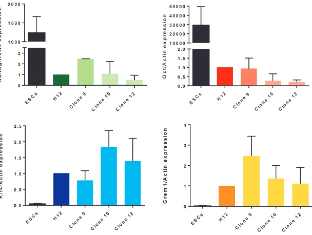 Fig. 2. Expression of pluripotent and mesenchymal stem cell transcripts in paediatric adipose-tissue derived stem cell (pADSC) parental line and clones as compared to human embryonic stem cells (hESCs)