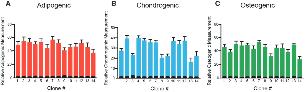Fig. 3. Effect of induction of adipogenic, chondrogenic and osteogenic differentiation in three paediatric adipose-tissue derived stem cell (pADSC) cloned lines