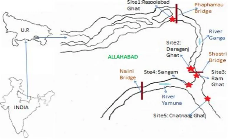 Fig. 1: Map showing five sites along the Ganga River in Allahabad city.
