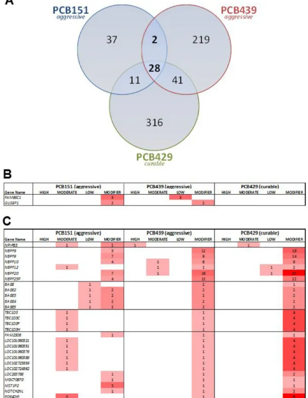 Figure 6: (A) Overlap of mutated gene in three human osteosarcomas. (B) Two genes were mutated in both aggressive tumors but not in  the curable tumor