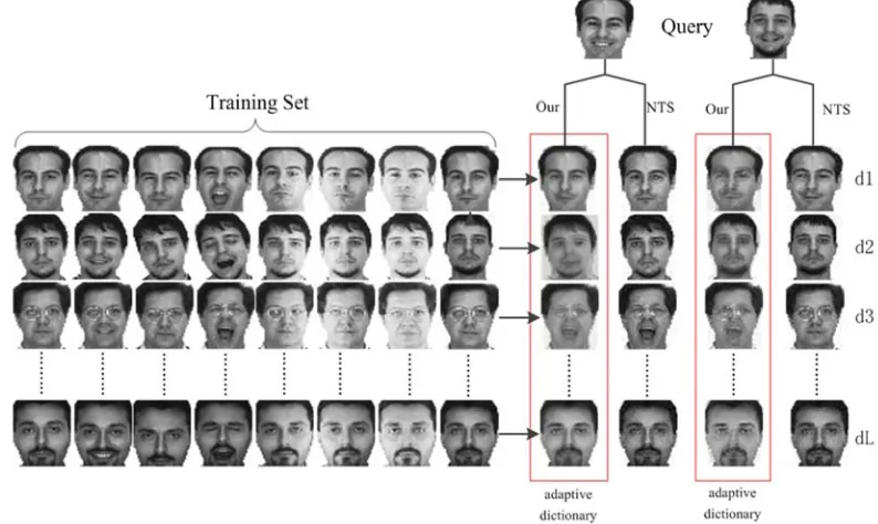 Figure 2. AR database training samples fitted to adaptive class dictionary. 
