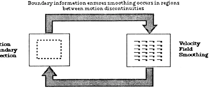 Fig. 4 - Cooperative interaction between motion boundary detcction and velocity smoothing