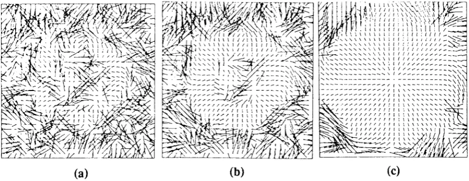 Fig. 6 - Velocity field of circle moving rightwards. (a),O),(c) are results at iterations I,5&20 respectively.
