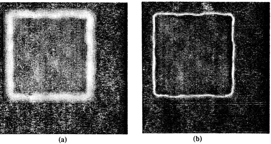 Fig. 9 valuei - A noise free random dot image of a moving square. (a) shows a linearly scaled plot of is certainty(scaling is between rhe limis of is marimun and minimum ceruinty value)