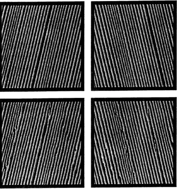Figure 2: a/ Top Phase contours for two oriented filters for additiae transparency'Bottom Phase contours for rnultiplicatiue transparency taken from figure 1b)