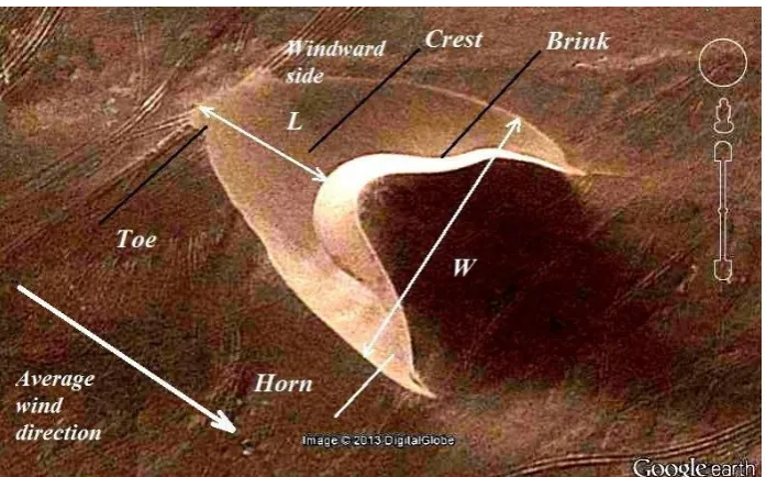 Figure 1 –  A barchan in Peru as we can see it in a Google Earth image. W is the width of the dune and L its length