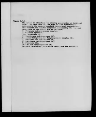 Figure 1.4.1TCA cycle in mitochondria showing generation of NADH and 