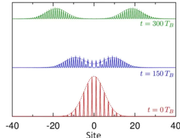 Figure 3. Evolution of an initial wave packet with k 0 = 0, σ = 10 and (a + , a − ) = (1, 0) [Eq