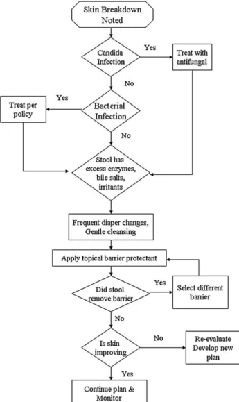Fig 8. Skin evaluation. The effects of treatment plans can be monitored by the evaluating the damage (ie, erythema, rash, dryness, etc) in terms of area of coverage and severity.