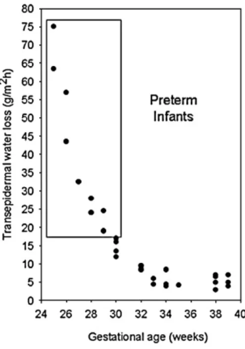 Fig 3. The development of the SC occurs during the last trimester of gestation and is relatively well formed on average by week 34 to 35