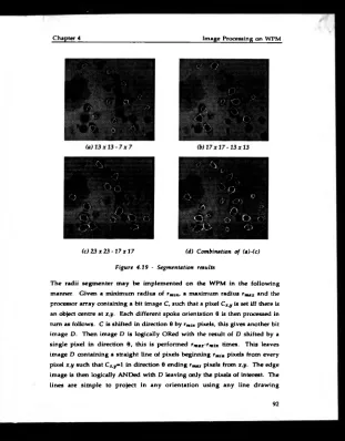 Figure 4.19 • Segmentation results
