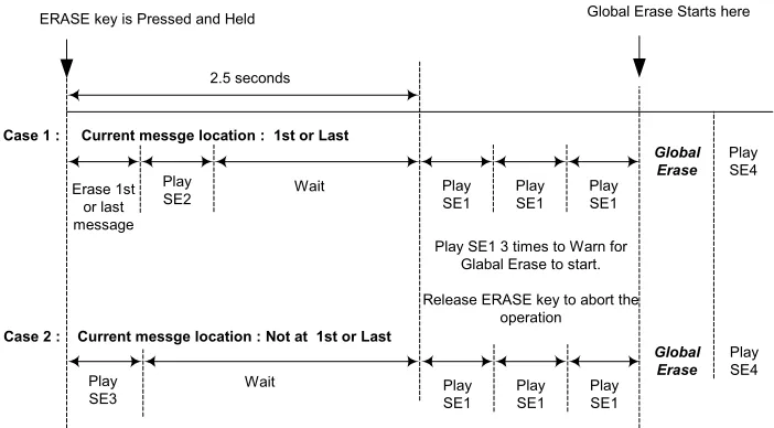Figure 7.1: Global Erase Operation 