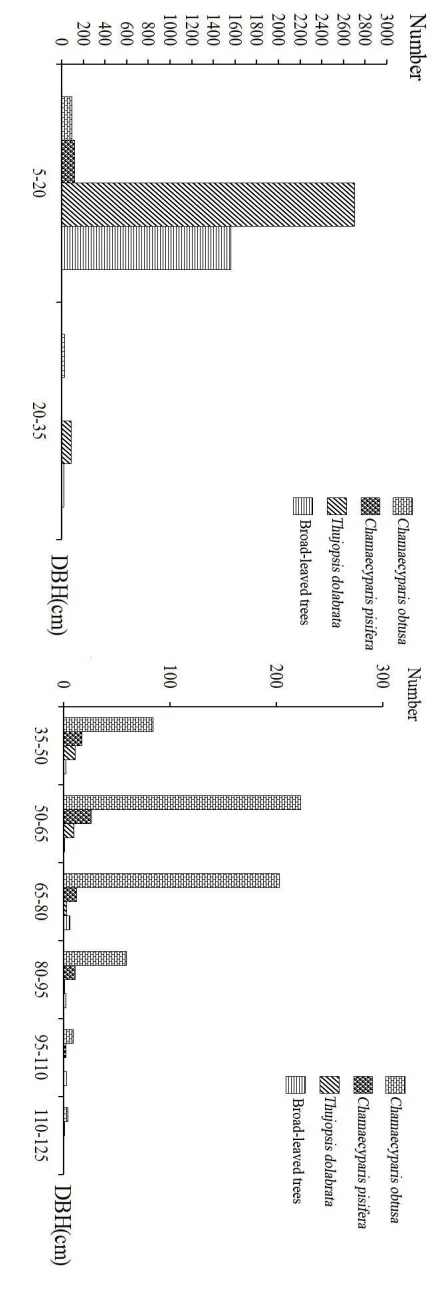 Figure 5 Stand Overview 