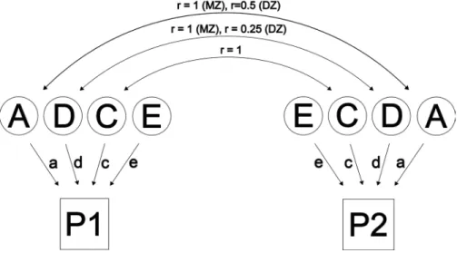 Figure 2. Path diagram representing the twin relationship.
