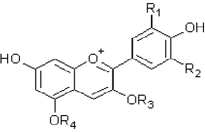 Figure 1. Basic structure of an anthocyanin (FRANCIS, 2000).  
