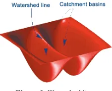 Figure 1. Watershed line. 