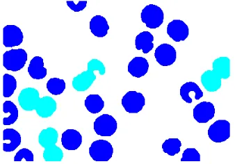 Figure 3. Example of applying distance transformation on binary image (a) Binary Image, (b) Distance Transformation of the binary image