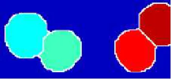 Figure 8. Overlapped cells after smoothing filter. 