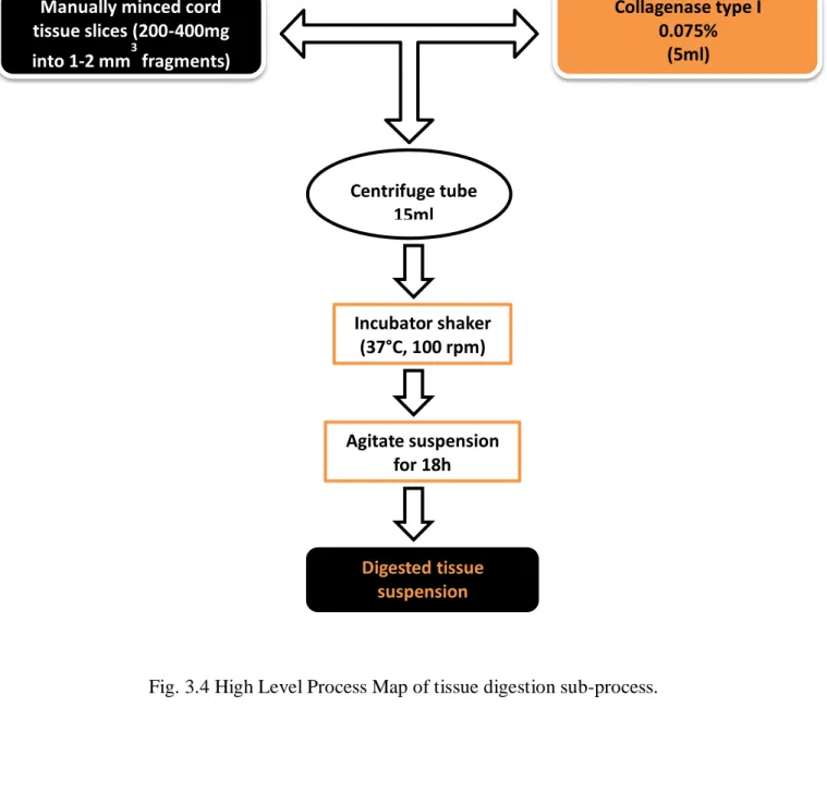 Fig. 3.4 High Level Process Map of tissue digestion sub-process. 
