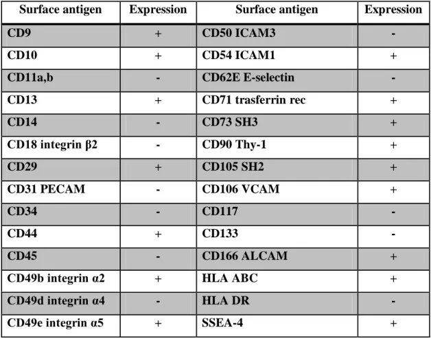 Table 1.1 Expression of surface markers for human mesenchymal stem cells (hMSCs). 