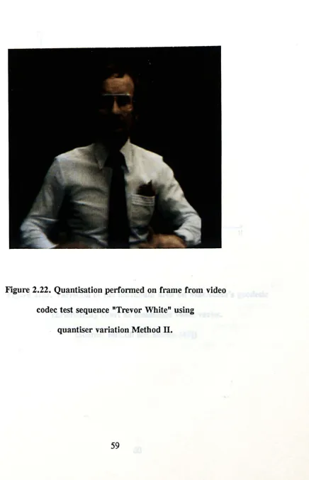Figure 2.22. Quantisation performed on frame from video 