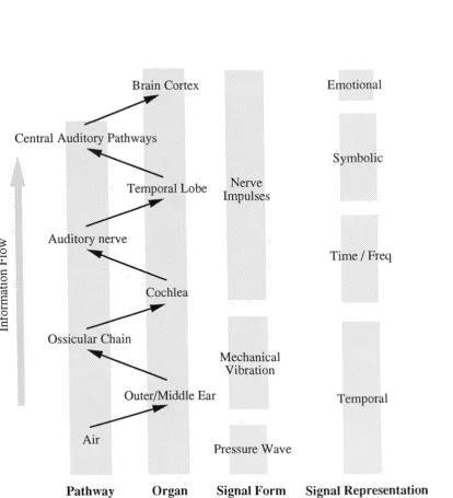 Figure 1.1: The Humm Auditory System as an Information Hierarchy