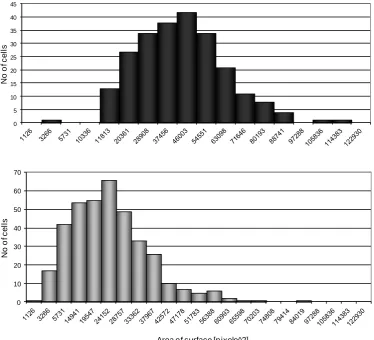 Figure  2.  A  –  Comparison  of  the  RBP4  gene  expression  levels  between  examined  groups  normalized  to  GUS-β  and  β-actin  (IS  –  insulin  sensitive,  IR  –  insulin  resistant)