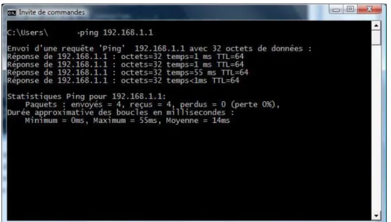 Figure 10 : The ping command indicate the presence of a device at the looked up address