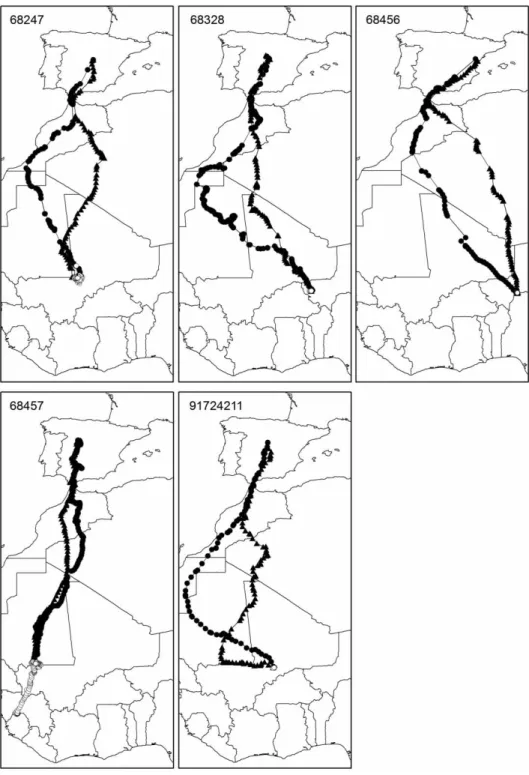 Figure 1. Routes followed by five Booted Eagles during autumn (triangles) and spring (circles) migration