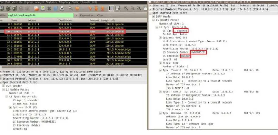 Figure 8. both packets contains the same sequence number, checksum and age (+/- 15 min) 