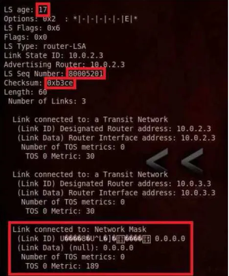 Figure 10.  OSPF database after the attack 