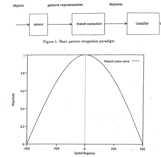 Figure 1: Basic pattern recognition paradigm