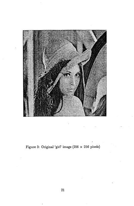 Figure 3: Original'girl' image (256 x 256 pixels)