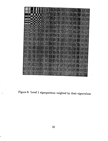 Figure 9: Level I eigenpatterns rveighted by their eigenvalues